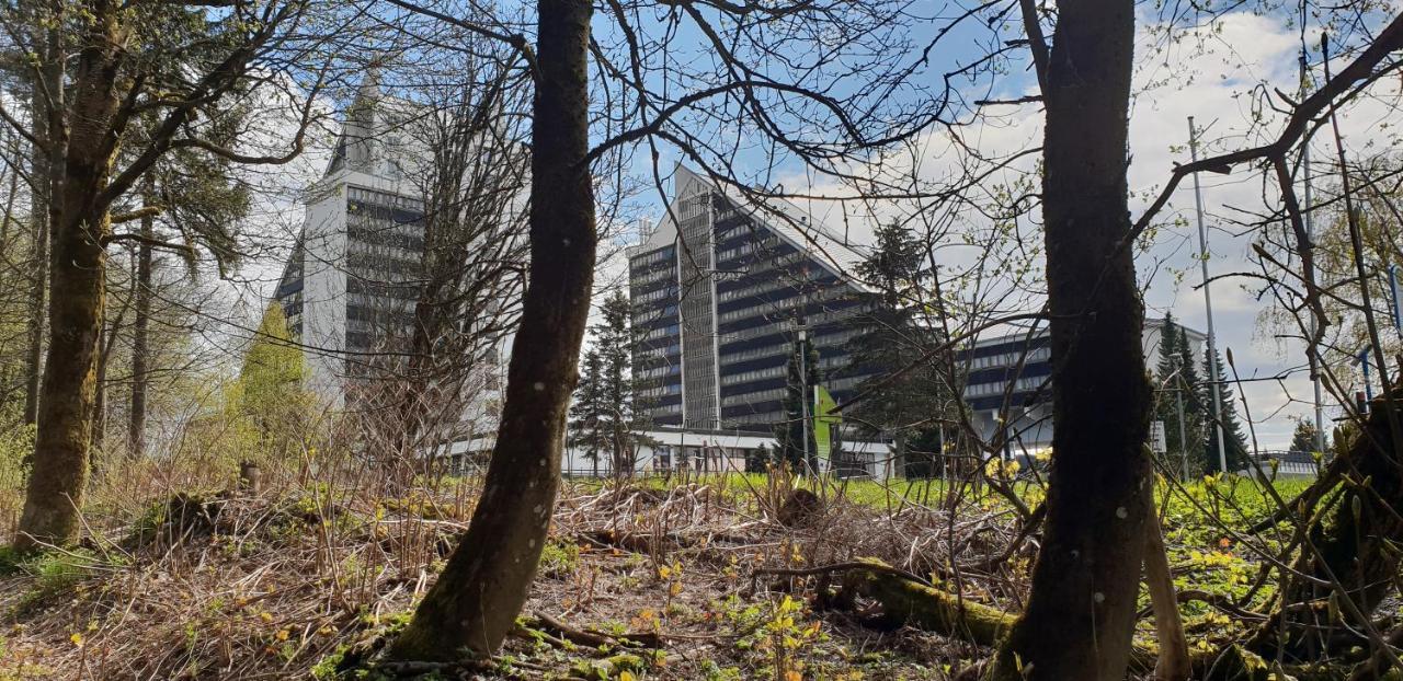 Zur Alten Tischlerei Apartamento Oberhof  Exterior foto