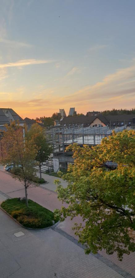 Zur Alten Tischlerei Apartamento Oberhof  Exterior foto